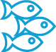 Ikon for Akvakultur