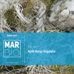 Forside Plan for Rydd Norge Rogaland